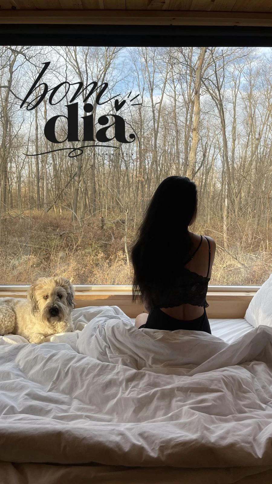 Story de bom dia com uma mulher e um cachorro junto à janela
